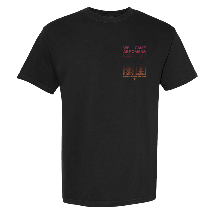 AIBBWAD Tour T-Shirt